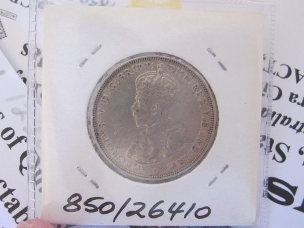 New-Arrivals-Now-With-Actual-Photos-:d-See-Bottom-Of-Page